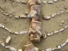 Wadi Al-Hitan Whale Valley Fayoum — 40-million-year-old whale fossils, UNESCO World Heritage Site
